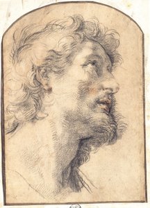 Study of the Head of Saint Crispin